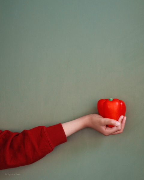 202602_6_compcolors_kysemi_DSCF1424 A minimalist, vertical shot of a person’s arm in a red sweater reaching into the frame, holding a bright red capsicum against a muted sage-green door. The image highlights the vibrant complementary colours.